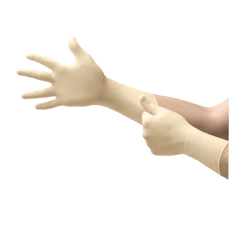 Nutex® Non Sterile Powder Free Latex Glove Size 6.0 - Box/50