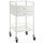 Powder Coated Double Drawer Trolley 50x50x96.7 cm