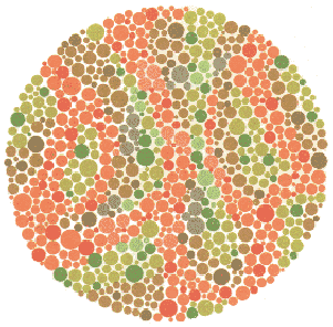 Ishihara Colour Blindness Book 14 Plate